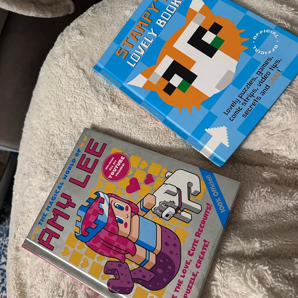 Stampy and Amy Lee and wimpy kid Books